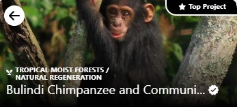 EASE Global Forest continues to grow